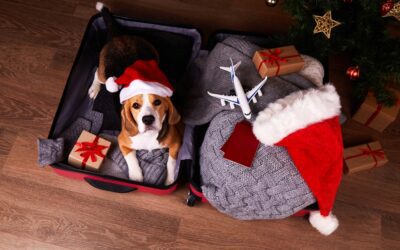 BBIM’s Top Holiday Traveling Tips!