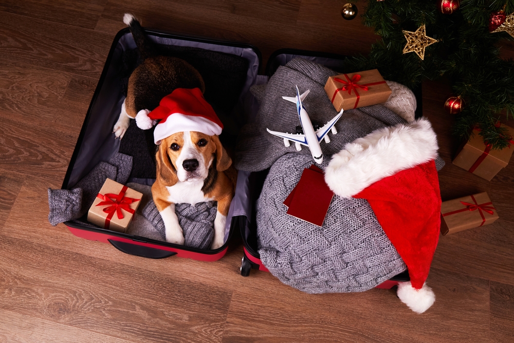 BBIM’s Top Holiday Traveling Tips!